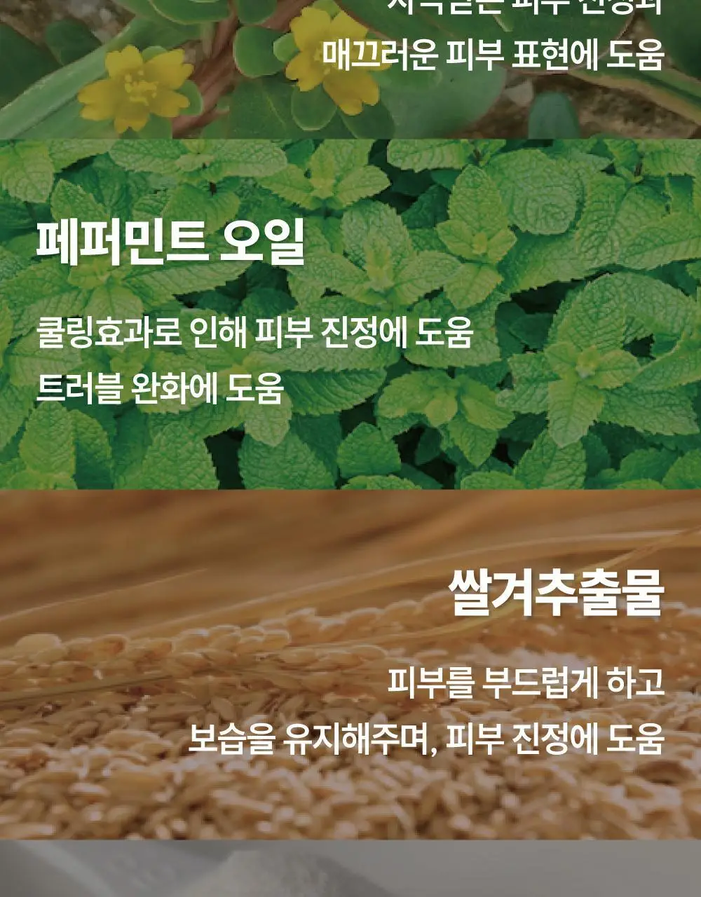 [500억유산균팩] 써니콘 마이크로바이옴 유산균 모델링팩 (7개입) 상세페이지 47